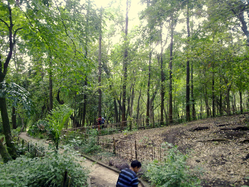 Baneshwar